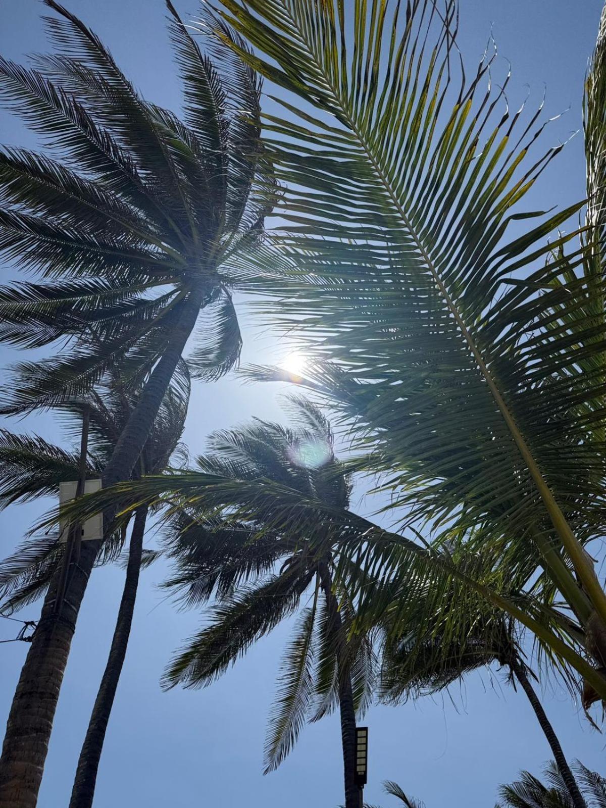 Playa Palmeras Beach Resort Cartagena ภายนอก รูปภาพ